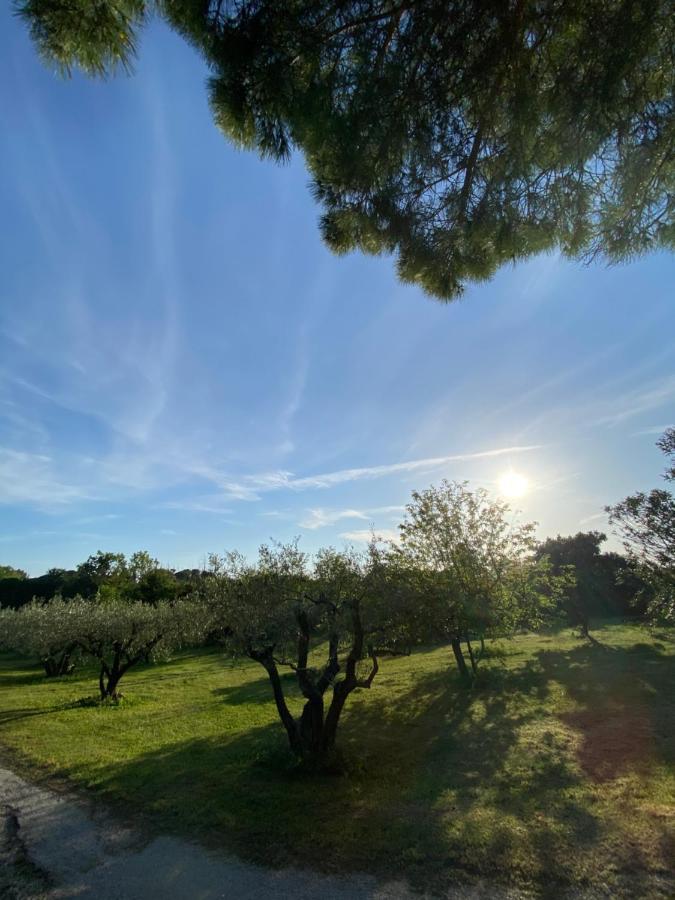 Studio Climatise Dans Un Ancien Domaine Viticole Montpellier Luaran gambar